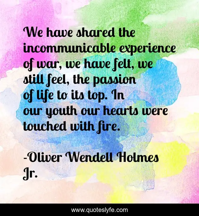 We have shared the incommunicable experience of war, we have felt, we still feel, the passion of life to its top. In our youth our hearts were touched with fire.