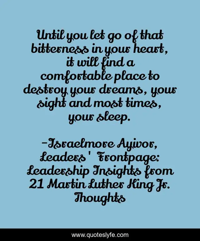Until you let go of that bitterness in your heart, it will find a comfortable place to destroy your dreams, your sight and most times, your sleep.