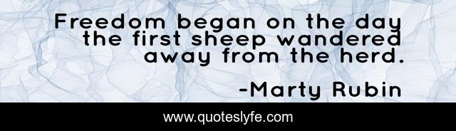 Freedom began on the day the first sheep wandered away from the herd.
