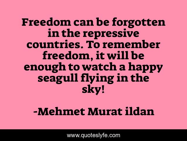 Freedom can be forgotten in the repressive countries. To remember freedom, it will be enough to watch a happy seagull flying in the sky!