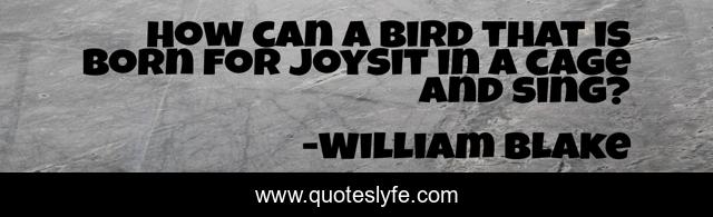 How can a bird that is born for joySit in a cage and sing?