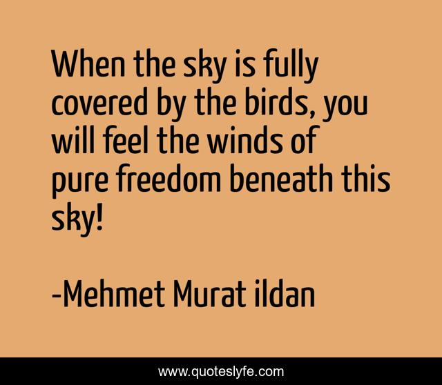When the sky is fully covered by the birds, you will feel the winds of pure freedom beneath this sky!