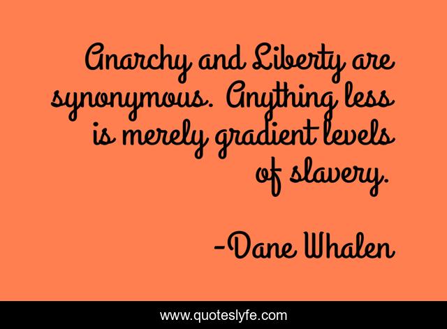 Anarchy and Liberty are synonymous. Anything less is merely gradient levels of slavery.