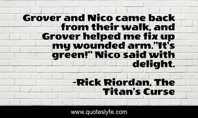 Grover and Nico came back from their walk, and Grover helped me fix up my wounded arm.