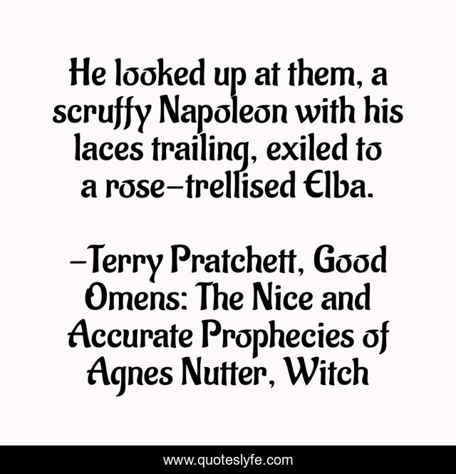 He looked up at them, a scruffy Napoleon with his laces trailing, exiled to a rose-trellised Elba.