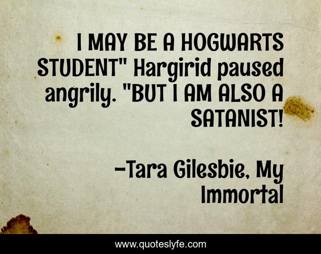 I MAY BE A HOGWARTS STUDENT