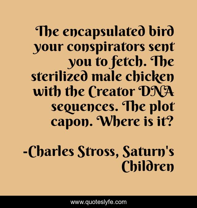 The encapsulated bird your conspirators sent you to fetch. The sterilized male chicken with the Creator DNA sequences. The plot capon. Where is it?