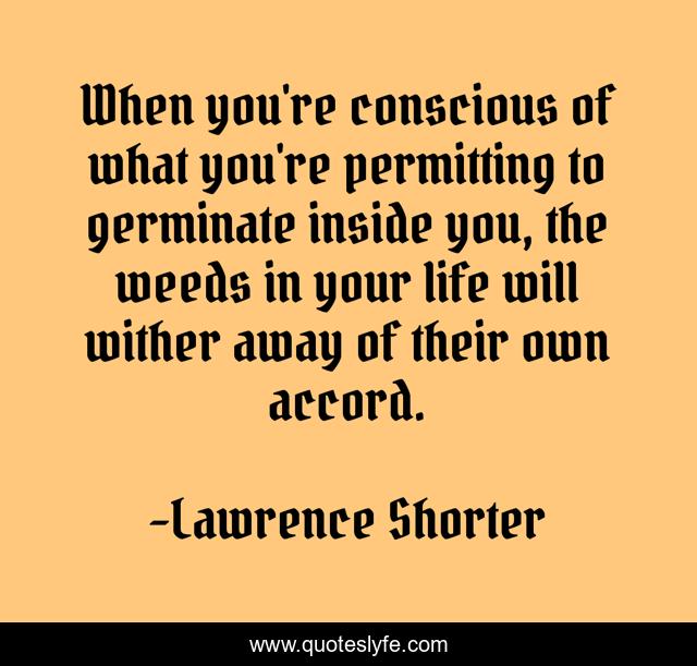 When you're conscious of what you're permitting to germinate inside you, the weeds in your life will wither away of their own accord.