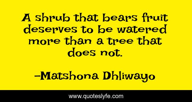 A shrub that bears fruit deserves to be watered more than a tree that does not.