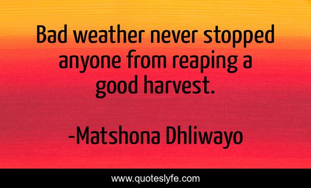 Bad weather never stopped anyone from reaping a good harvest.