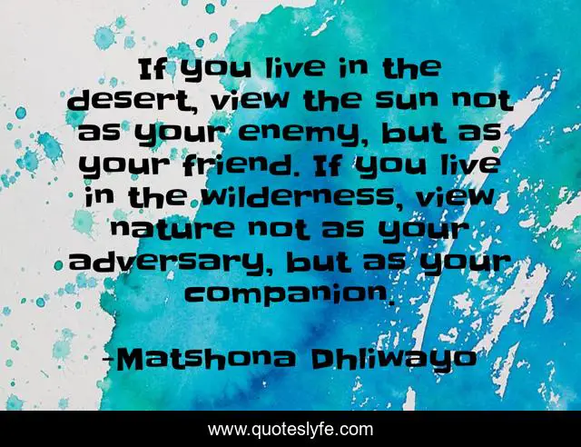 If you live in the desert, view the sun not as your enemy, but as your friend. If you live in the wilderness, view nature not as your adversary, but as your companion.