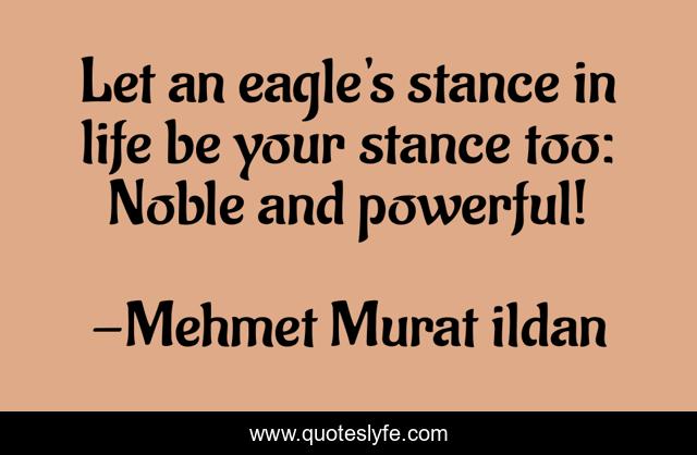 Let an eagle's stance in life be your stance too: Noble and powerful!