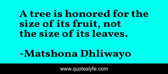 A tree is honored for the size of its fruit, not the size of its leaves.