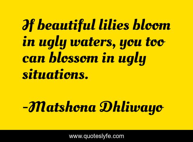 If beautiful lilies bloom in ugly waters, you too can blossom in ugly situations.
