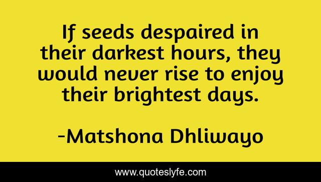 If seeds despaired in their darkest hours, they would never rise to enjoy their brightest days.