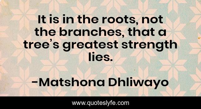 It is in the roots, not the branches, that a tree’s greatest strength lies.