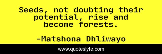 Seeds, not doubting their potential, rise and become forests.