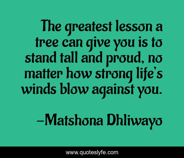 The greatest lesson a tree can give you is to stand tall and proud, no matter how strong life’s winds blow against you.