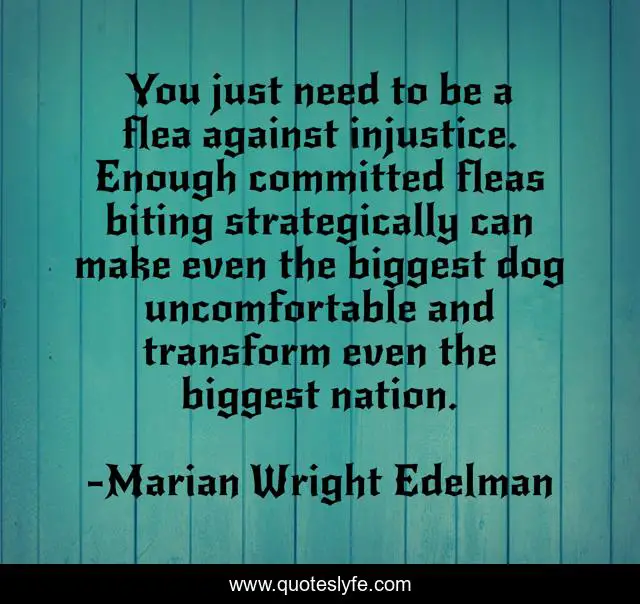 You just need to be a flea against injustice. Enough committed fleas biting strategically can make even the biggest dog uncomfortable and transform even the biggest nation.