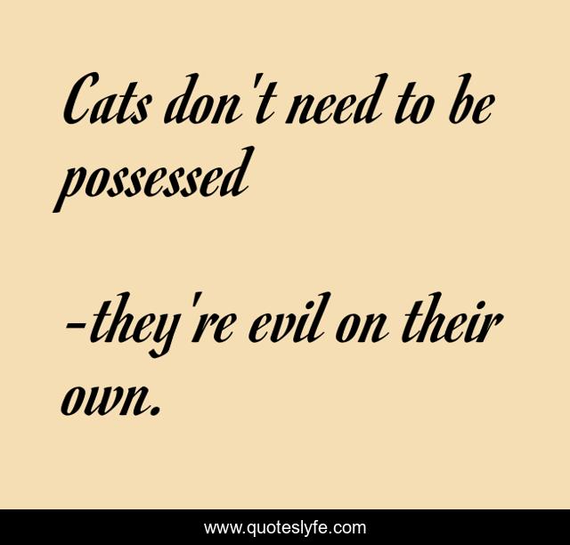 Cats don't need to be possessed