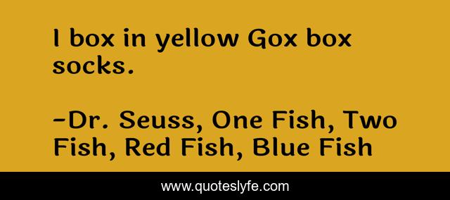 I box in yellow Gox box socks.