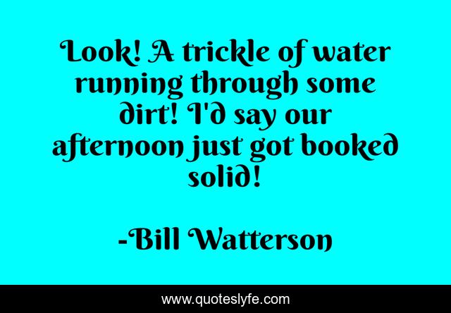 Look! A trickle of water running through some dirt! I'd say our afternoon just got booked solid!