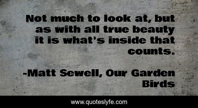 Not much to look at, but as with all true beauty it is what's inside that counts.