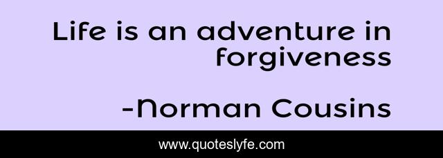 Life is an adventure in forgiveness