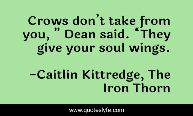 Crows don’t take from you, ” Dean said. “They give your soul wings.