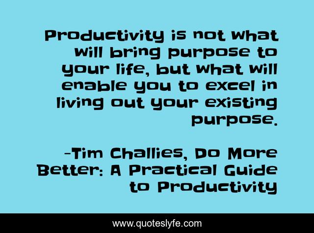 Productivity is not what will bring purpose to your life, but what will enable you to excel in living out your existing purpose.