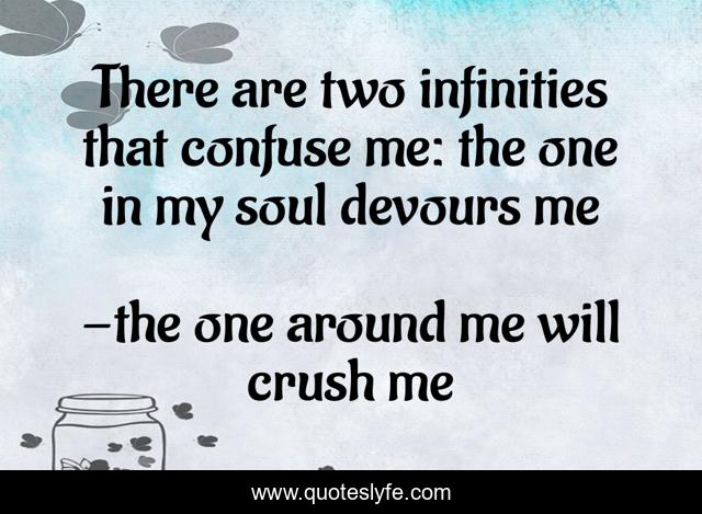 There are two infinities that confuse me: the one in my soul devours me