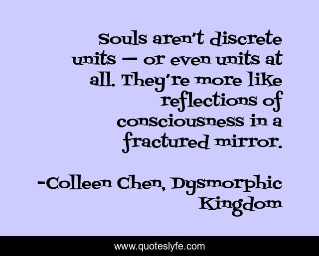 Souls aren’t discrete units — or even units at all. They’re more like reflections of consciousness in a fractured mirror.