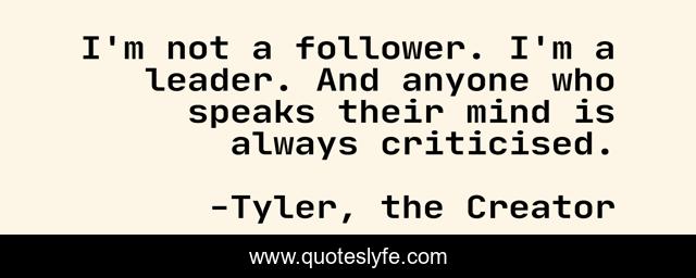 I'm not a follower. I'm a leader. And anyone who speaks their mind is always criticised.