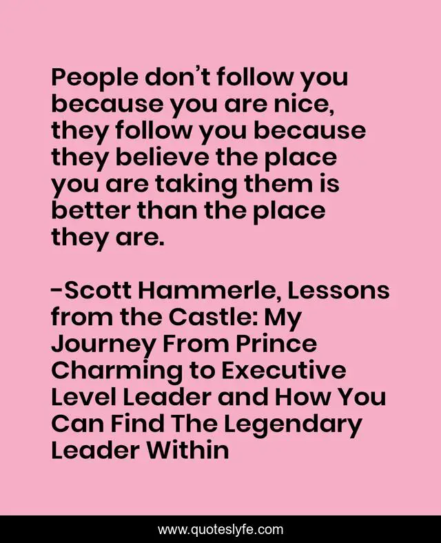 People don’t follow you because you are nice, they follow you because they believe the place you are taking them is better than the place they are.