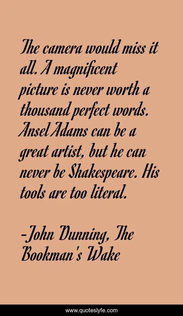 The camera would miss it all. A magnificent picture is never worth a thousand perfect words. Ansel Adams can be a great artist, but he can never be Shakespeare. His tools are too literal.