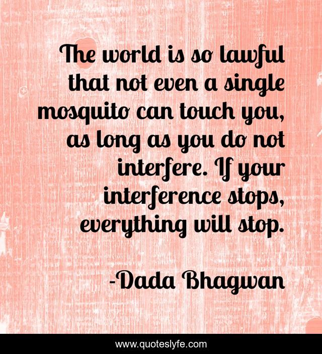 The world is so lawful that not even a single mosquito can touch you, as long as you do not interfere. If your interference stops, everything will stop.