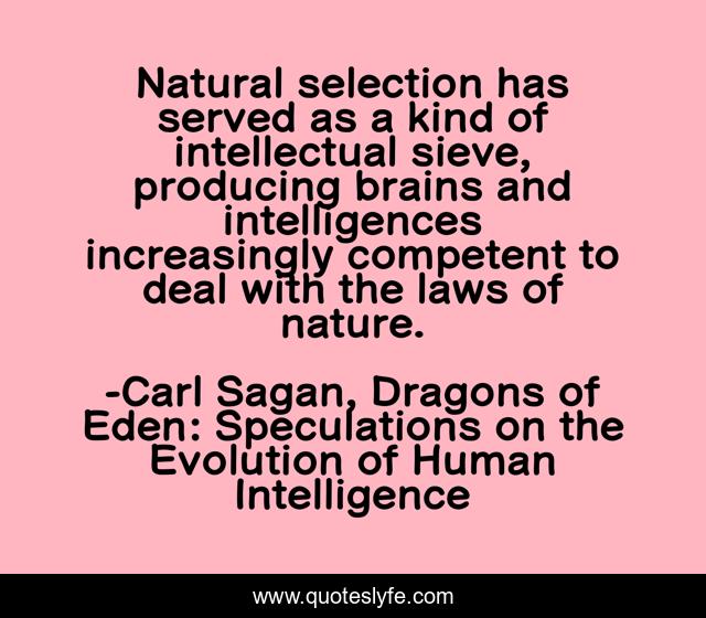 Natural selection has served as a kind of intellectual sieve, producing brains and intelligences increasingly competent to deal with the laws of nature.