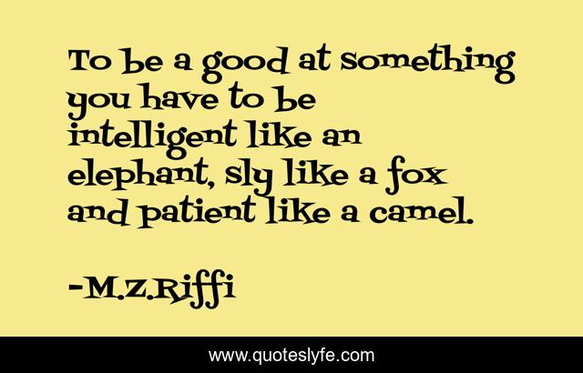 To be a good at something you have to be intelligent like an elephant, sly like a fox and patient like a camel.