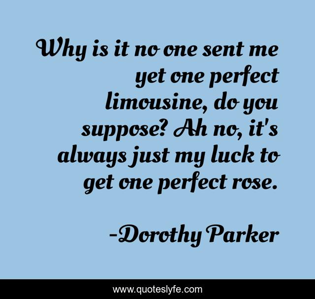 Why is it no one sent me yet one perfect limousine, do you suppose? Ah no, it's always just my luck to get one perfect rose.