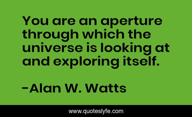 You are an aperture through which the universe is looking at and exploring itself.