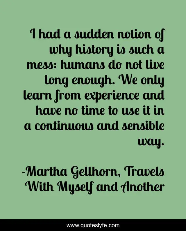 I had a sudden notion of why history is such a mess: humans do not live long enough. We only learn from experience and have no time to use it in a continuous and sensible way.