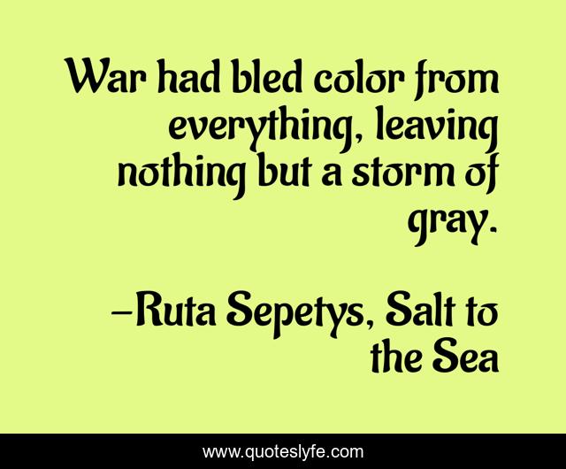 War had bled color from everything, leaving nothing but a storm of gray.