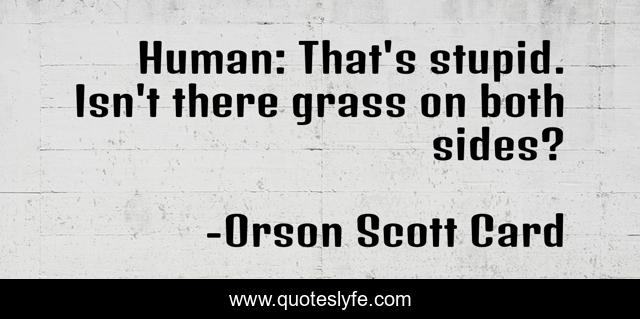Human: That's stupid. Isn't there grass on both sides?