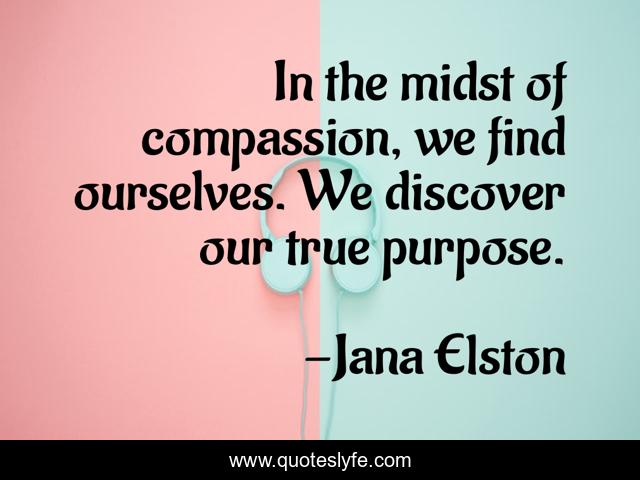 In the midst of compassion, we find ourselves. We discover our true purpose.