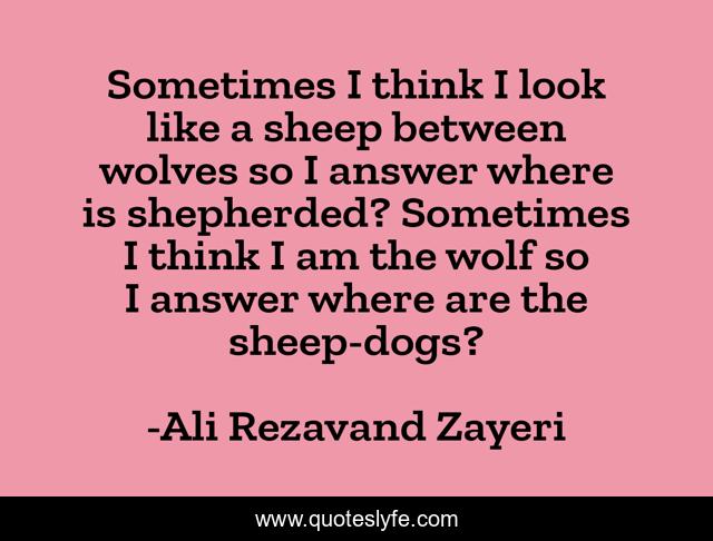 Sometimes I think I look like a sheep between wolves so I answer where is shepherded? Sometimes I think I am the wolf so I answer where are the sheep-dogs?