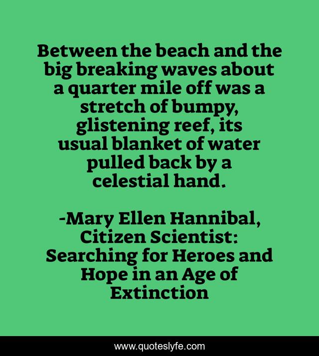 Between the beach and the big breaking waves about a quarter mile off was a stretch of bumpy, glistening reef, its usual blanket of water pulled back by a celestial hand.