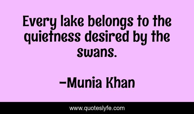Every lake belongs to the quietness desired by the swans.