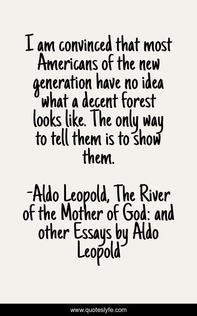 I am convinced that most Americans of the new generation have no idea what a decent forest looks like. The only way to tell them is to show them.