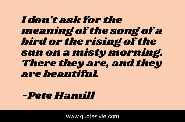 I don't ask for the meaning of the song of a bird or the rising of the sun on a misty morning. There they are, and they are beautiful.