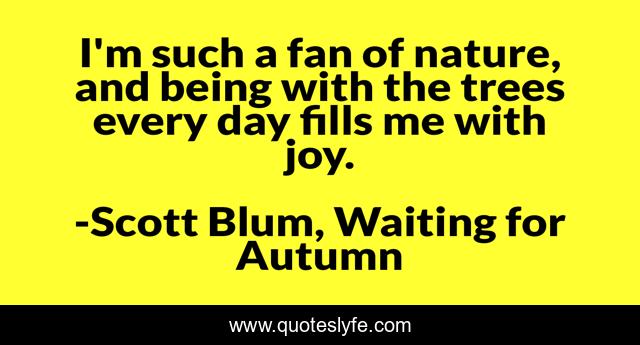 I'm such a fan of nature, and being with the trees every day fills me with joy.